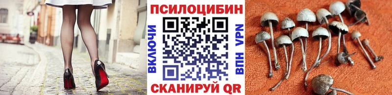 Псилоцибиновые грибы мицелий  магазин    Пустошка 