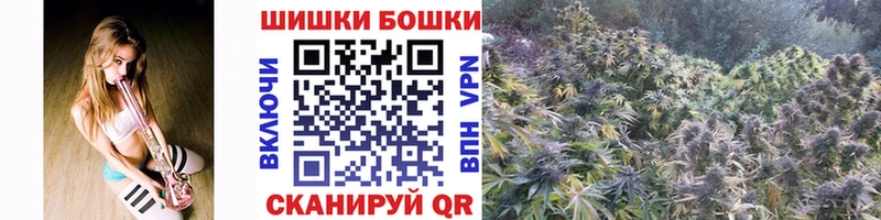 даркнет сайт  Пустошка  МЕГА   Марихуана White Widow 